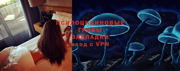 apvp Алексин
