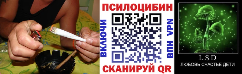 Псилоцибиновые грибы Magic Shrooms  Ейск 