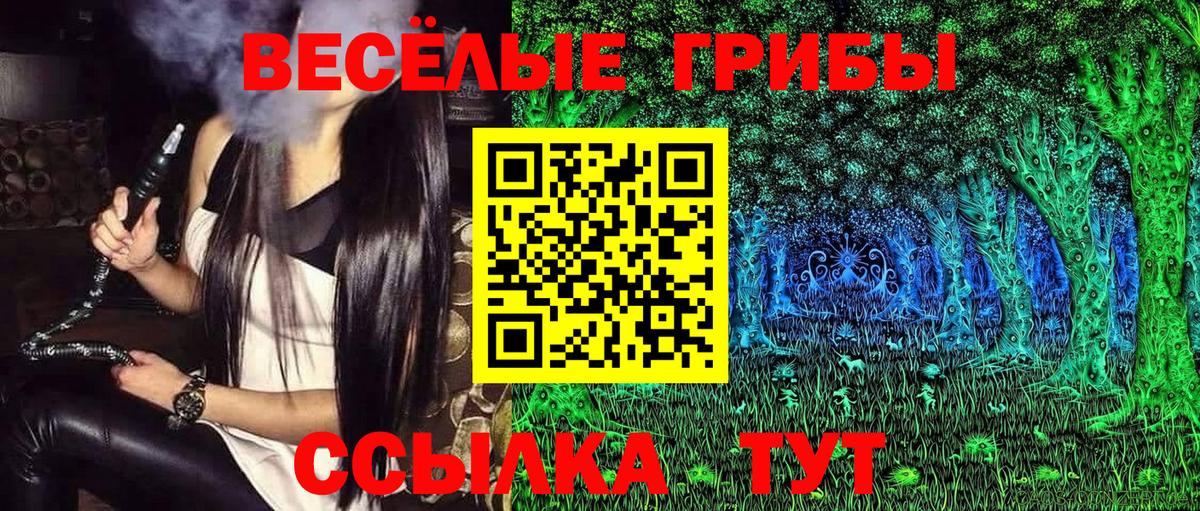 Ейск  Псилоцибиновые грибы Cubensis  Вход с VPN  Псилоцибиновые грибы Magic Shrooms 